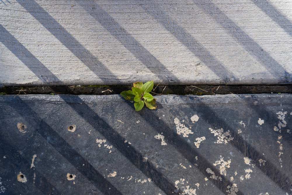 seal the gap between concrete and asphalt Utah