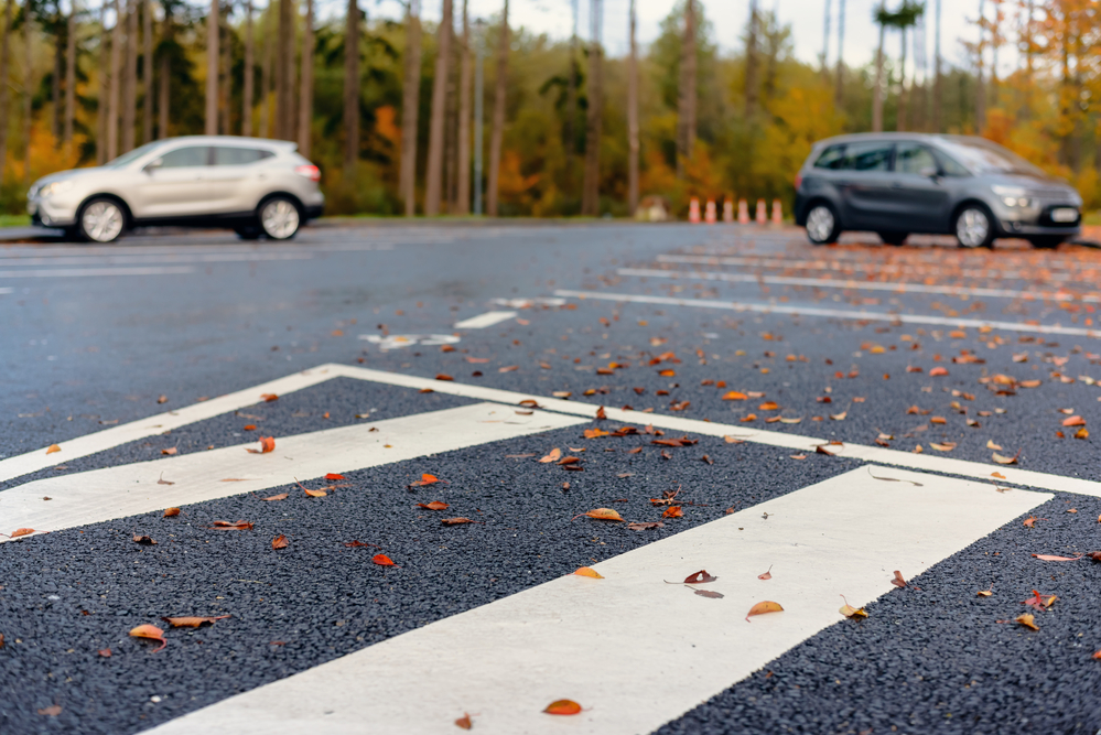 fallen leaves affect your asphalt