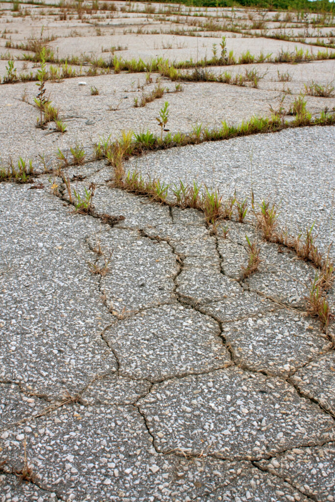 preventing weeds in asphalt