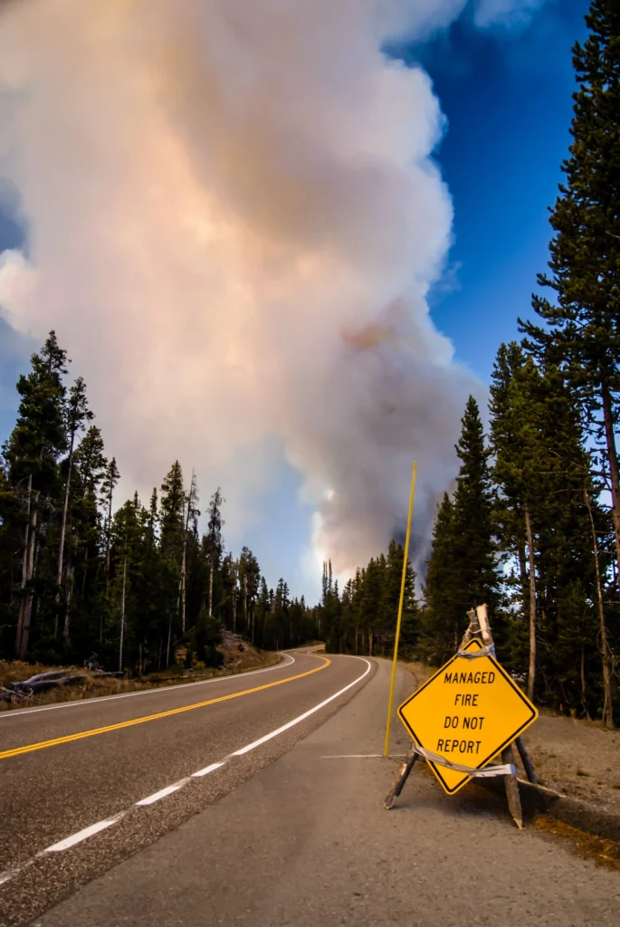 The Impact Of Wildfires On Asphalt